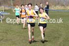 Mens under-20s 2016 Inter Counties Cross Country Champs. and Cross Challenge Final, Cofton Park, Birmingham. Photo: David T. Hewitson/Sports for All Pics